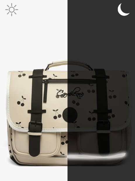 3-compartment Satchel Cameleon Beige vintage north PBVWCA41 other view 8